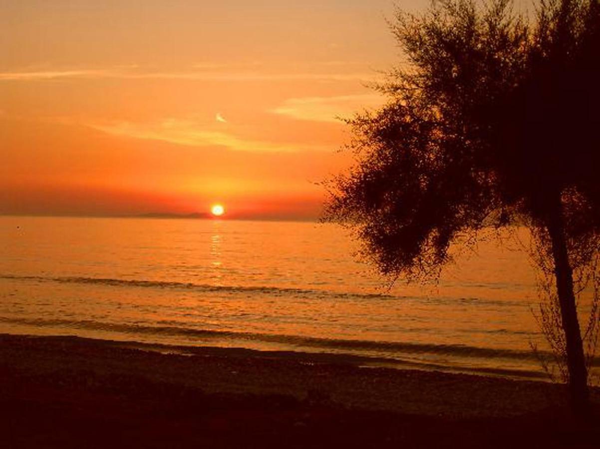 Acharavi Breeze Acharavi (Corfu)